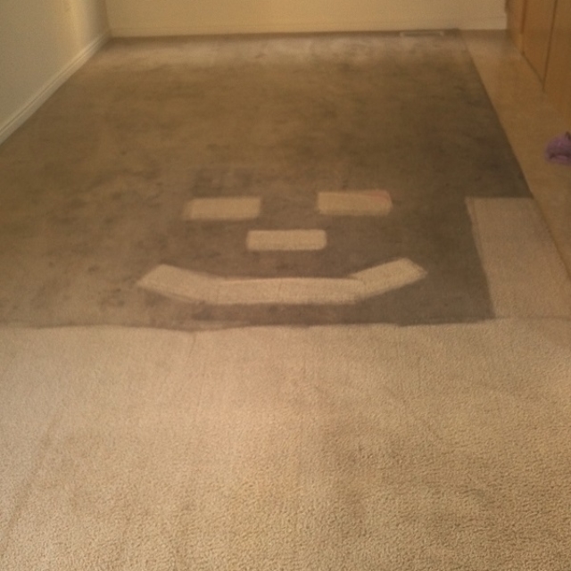 carpet cleaning example