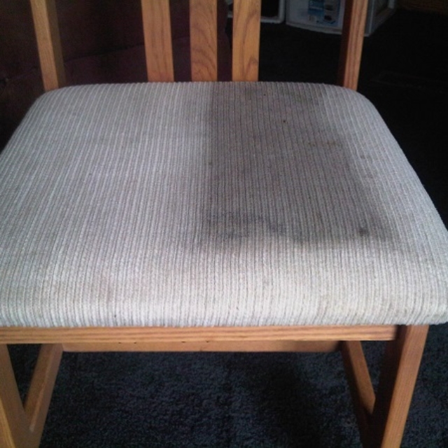 upholstery cleaning example