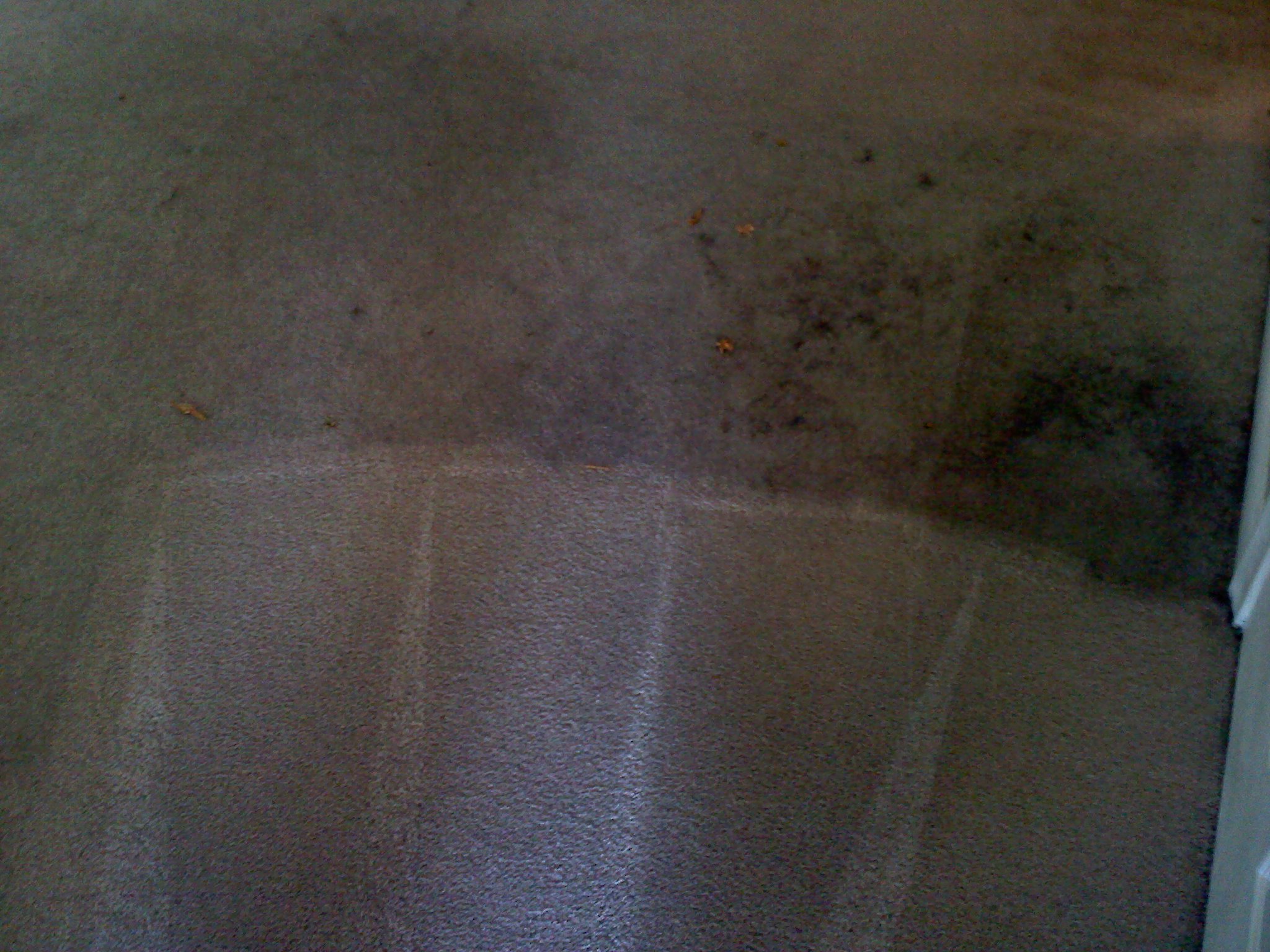 carpet cleaning example