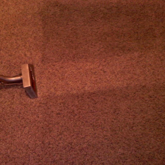 carpet cleaning example