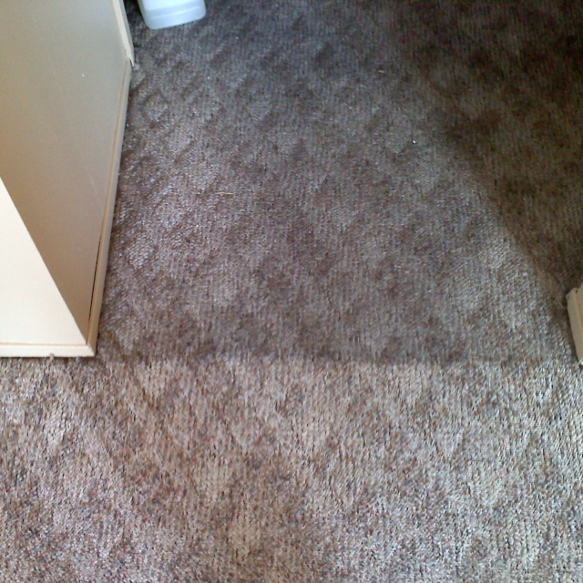 carpet cleaning example