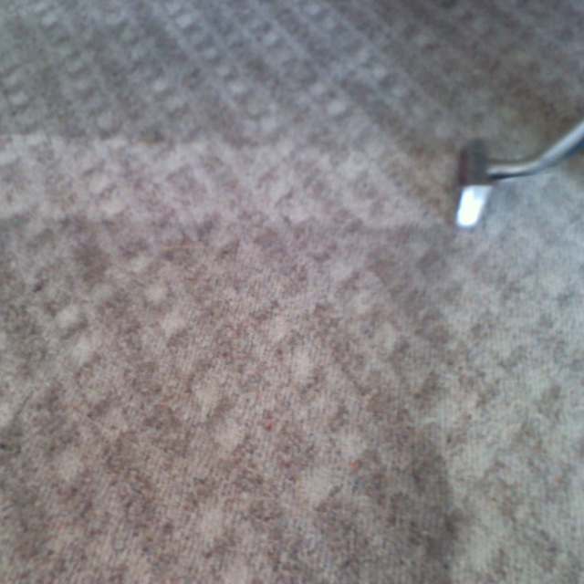 carpet cleaning example