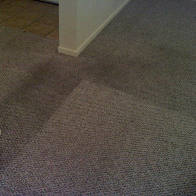 carpet cleaning example