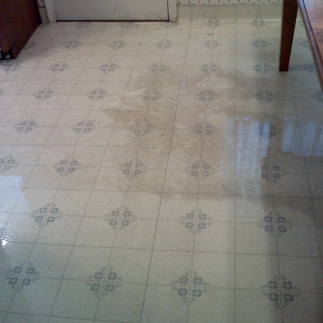 hard floor cleaning example