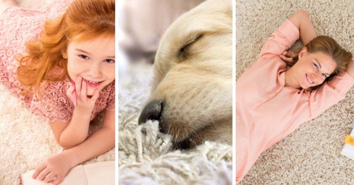 Residential Carpet Cleaning, Pet Stain & Odor Removal Services